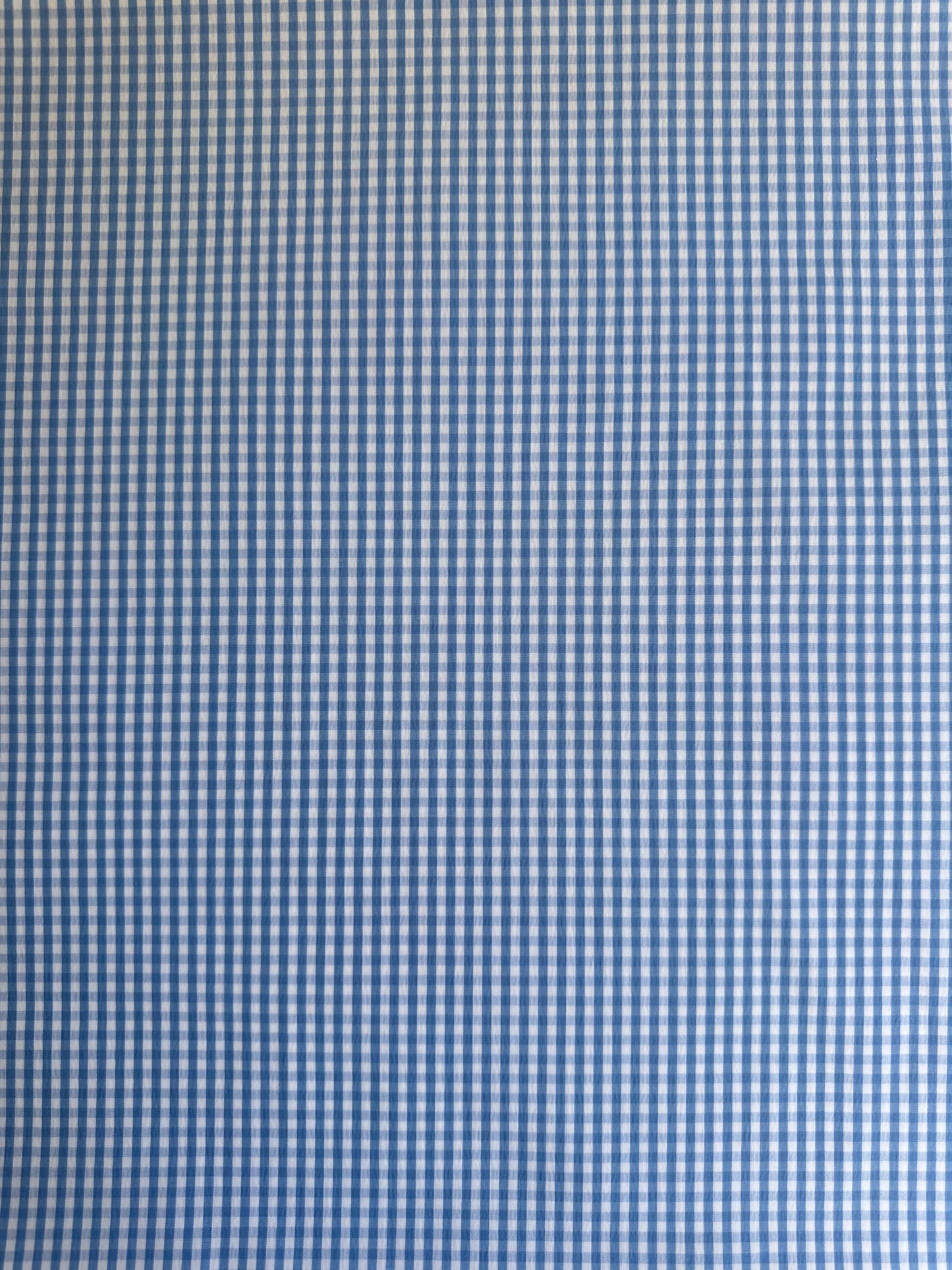 Coton - Vichy bleu - Coupon de 3m